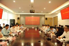 公司召开2020年度上半年党建思想政治工作会议