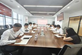公司召开党的建设工作领导小组（扩大）会议学习贯彻习近平总书记重要讲话精神研究部署巩固拓展学习教育成果工作